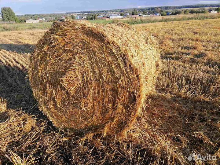 Сено солома