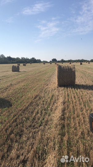 Сено и солома
