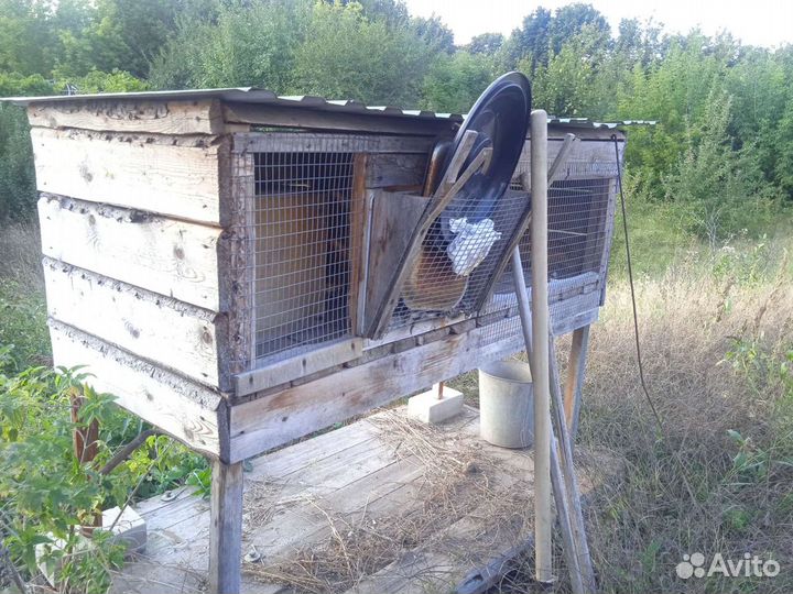 Клетка для кролика