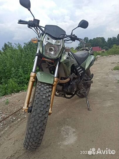 Рейсер Форестер, десна фантом