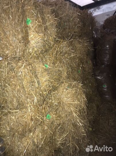 Сено солома в тюках аннинский район