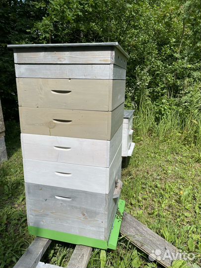 Улей с пчелами