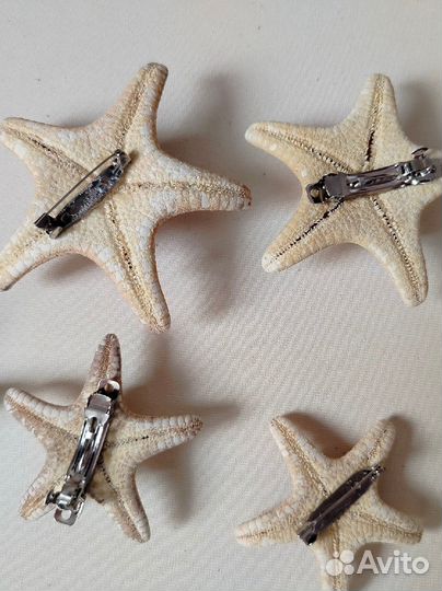 Заколки и броши из натуральных морских звёзд