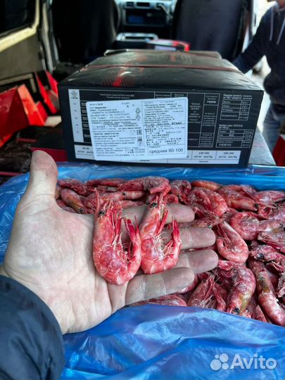 Креветка, крабы, мидии, рыба, морепродукты опт