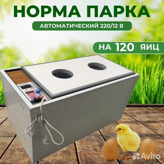 Инкубатор для яиц автоматический