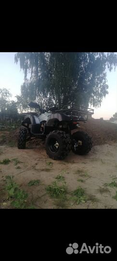 Квадроцикл avenger tungus 250