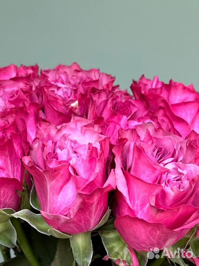 Премиум пионовидна роза 50см,Доставка