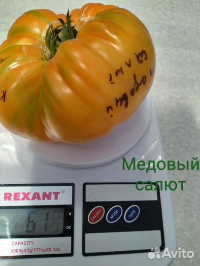 Семена коллекционных сортов томатов