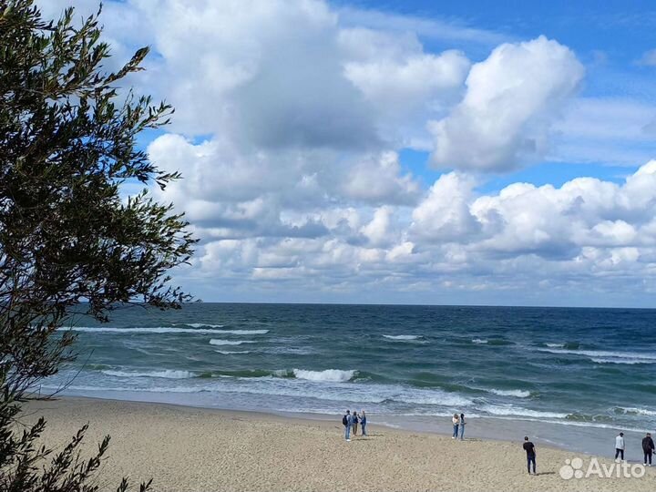 Экскурсии по Калининграду и области