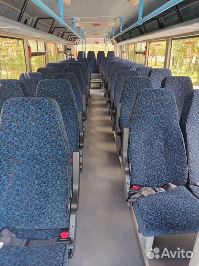 Пассажирские перевозки автобусами паз и лиаз