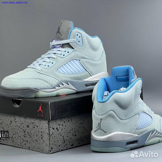 Кроссовки Nike Air Jordan 5 (Арт.22165)