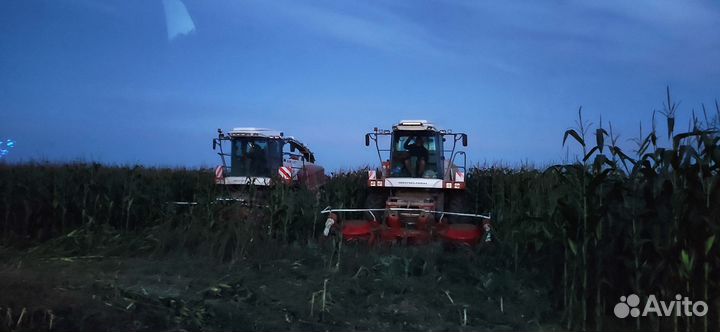 Заготовка кормов, силоса и т.д Аренда спецтехники