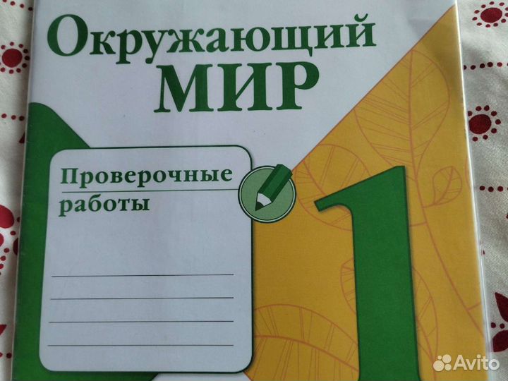 Проверочные работы по окружающему миру