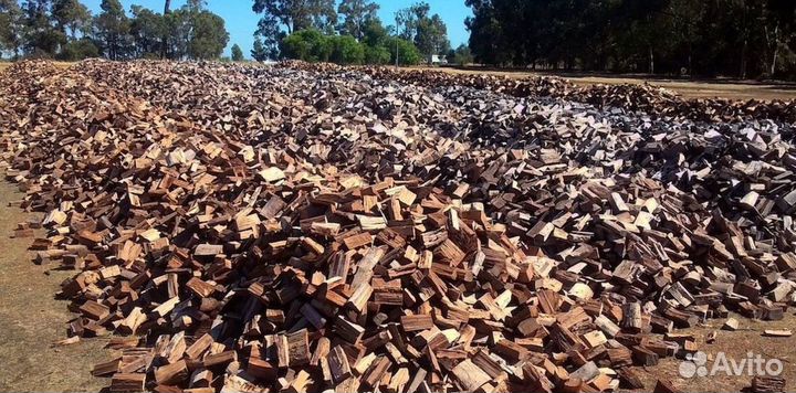 Дрова с Приморска