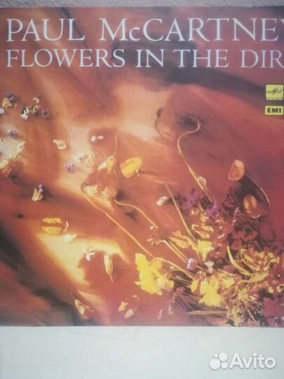 Грампластинка