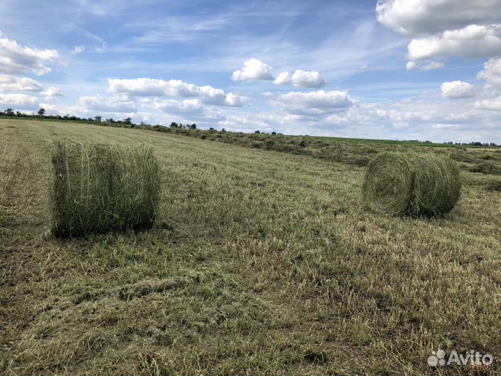 Сено в рулонах