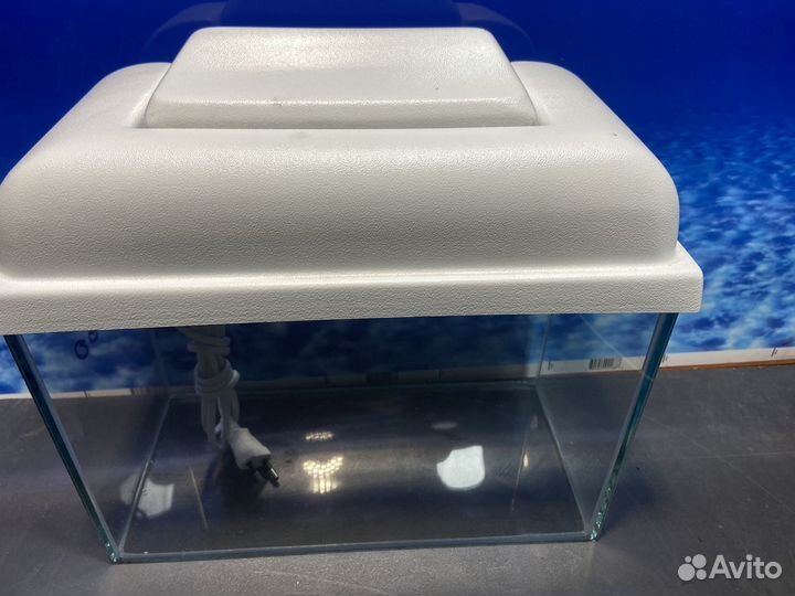 Новый 5 литров с пластиковой крышкой