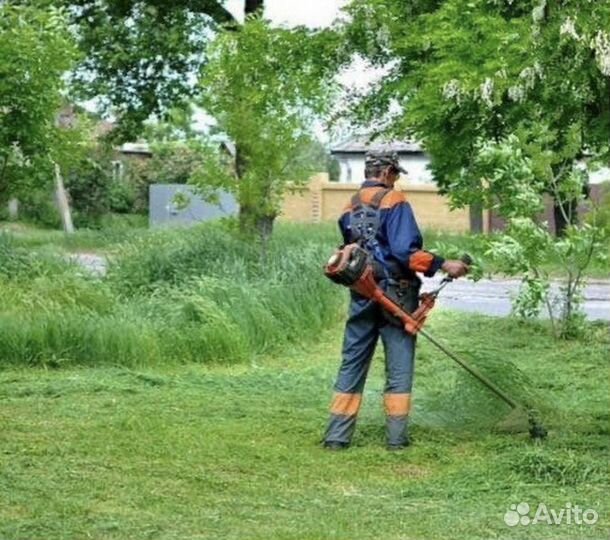 Благоустройство участка