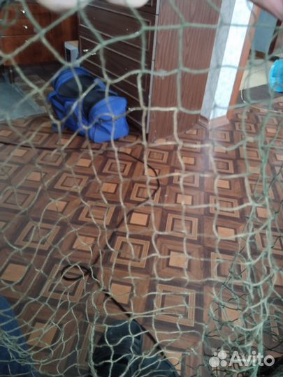 Тайник для ловли птиц