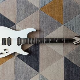 Schecter reaper 6 custom