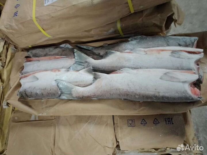 Красная рыба