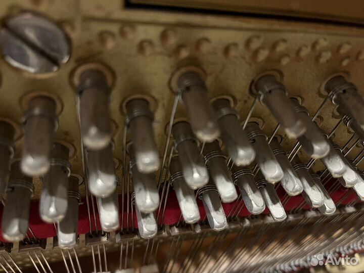 Пианино Petrof Sonatina