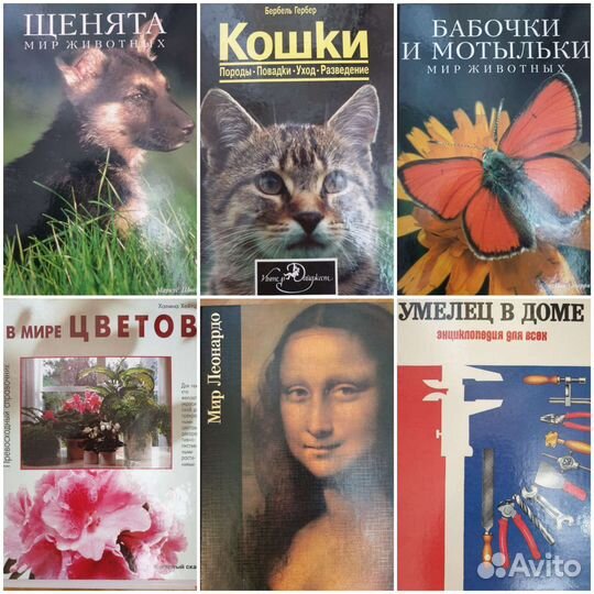 Кулинария, животные, цветы, искусство, история