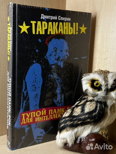 Спирин Дмитрий. Тупой панк-рок для интеллектуалов