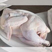 Мясо цесарки