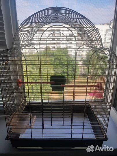 Клетка для попугая корелла