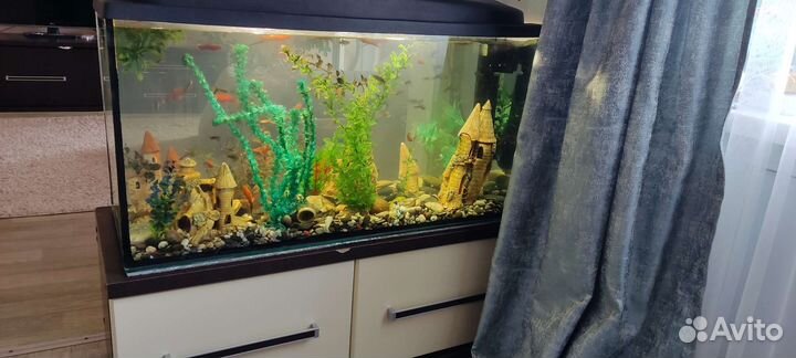 Аквариум