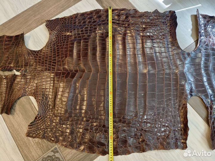 Кожа крокодила шкура