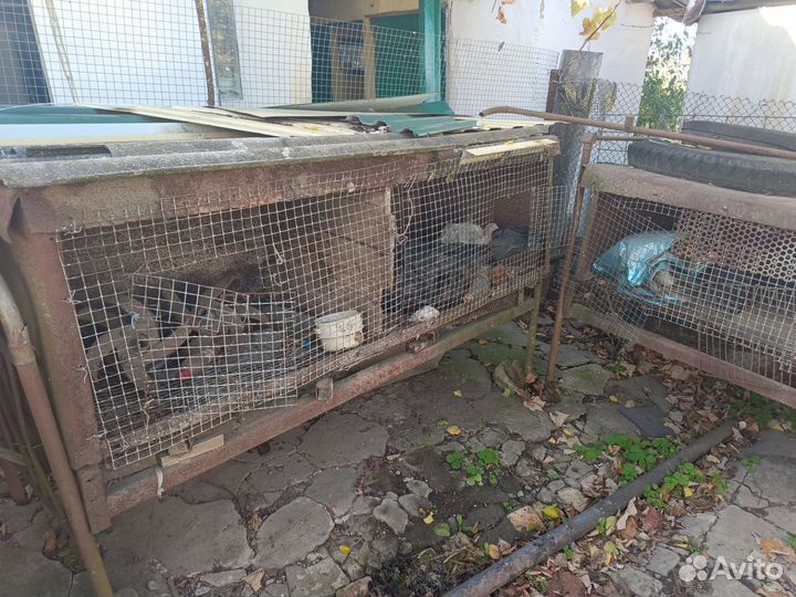 Клетка для грызунов