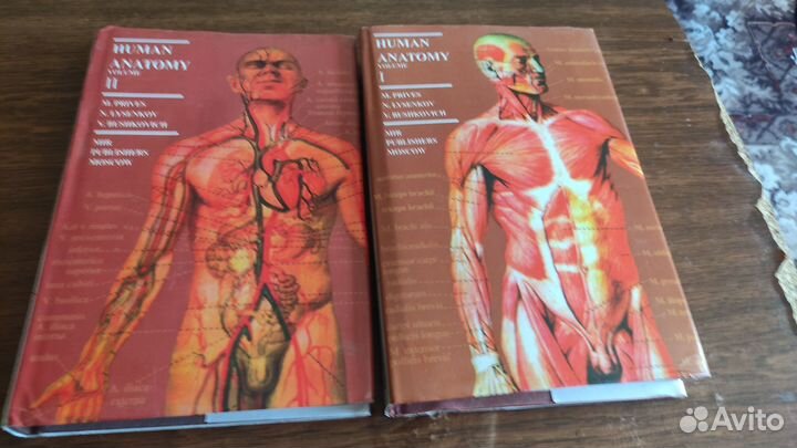 Учебники по анатомии на English language