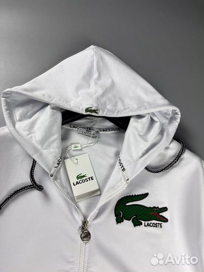 Костюм спортивный Lacoste р50/54