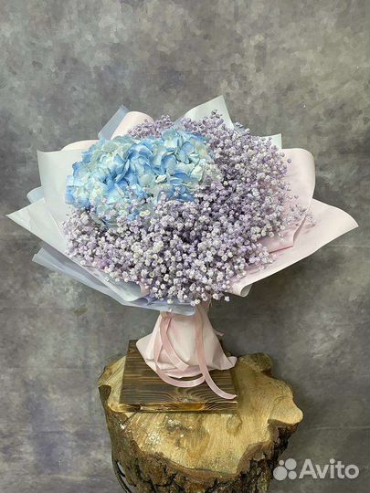 Цветы гипсофилы