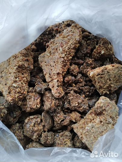 Прополис пчелиный