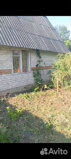 Расчистка дачных участков