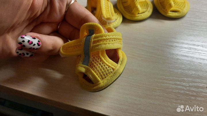 Обувь для собак