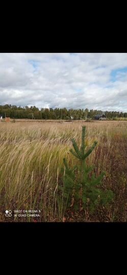 Участок 15 сот. (ИЖС)