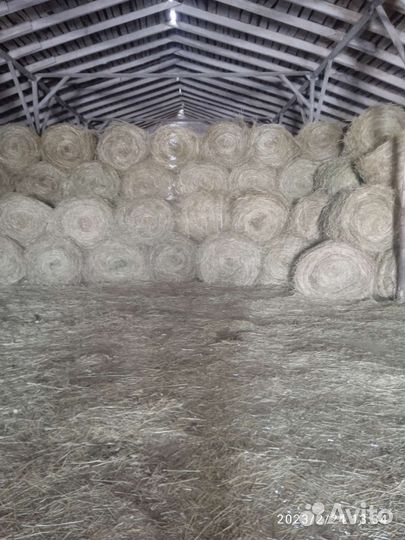 Продам сено в рулонах