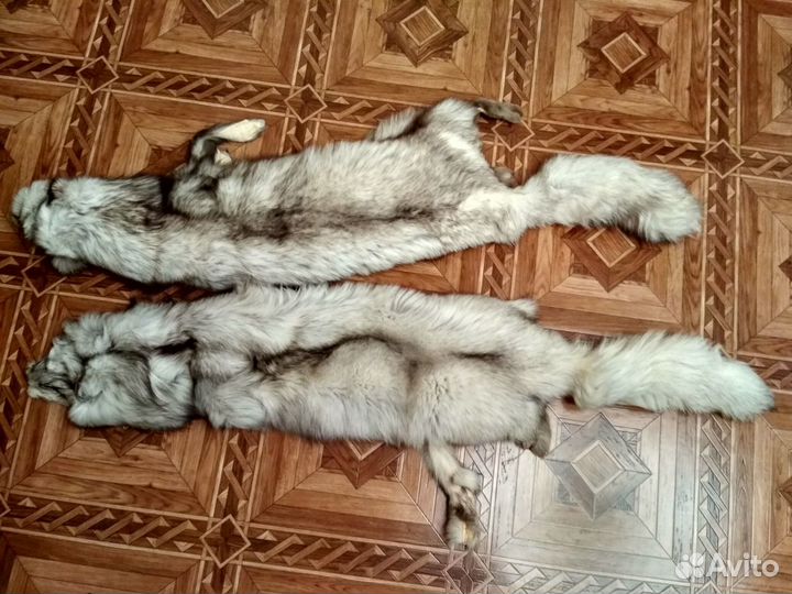 Шкурки песца