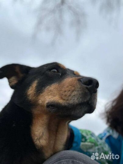 Обаятельный Брюс мечтает о семье и доме