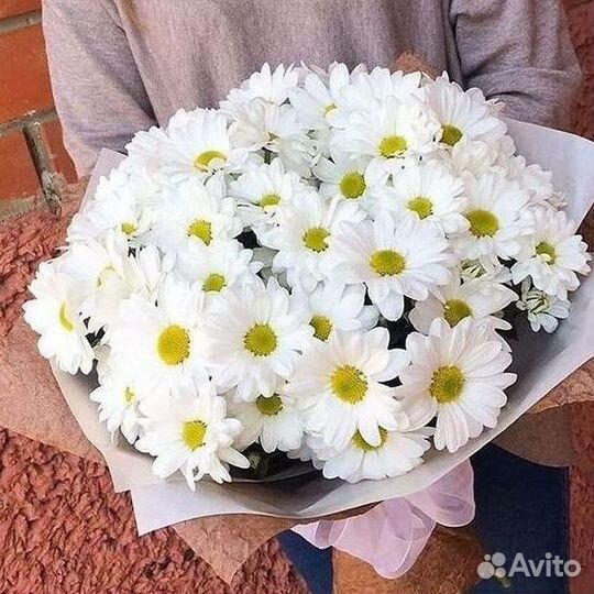 Хризантема. Букеты Цветы доставка