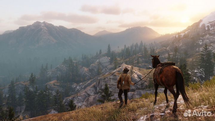 Red Dead Redemption 2 (PS4/PS5) Владивосток