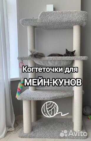 Когтеточка комплекс для мейн куна купить в Екатеринбурге | Животные и ...