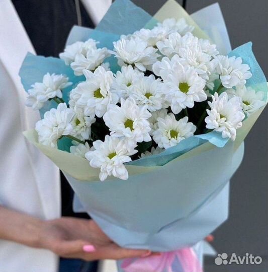 Хризантема Букет хризантем Доставка