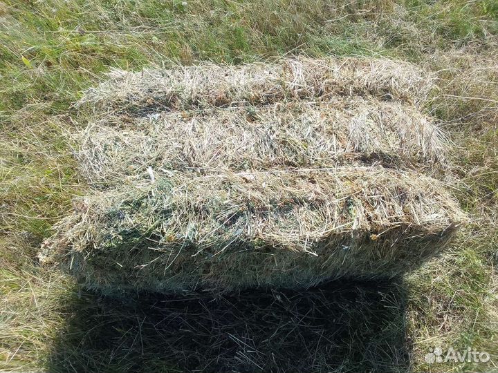 Сено в тюках и рулонах