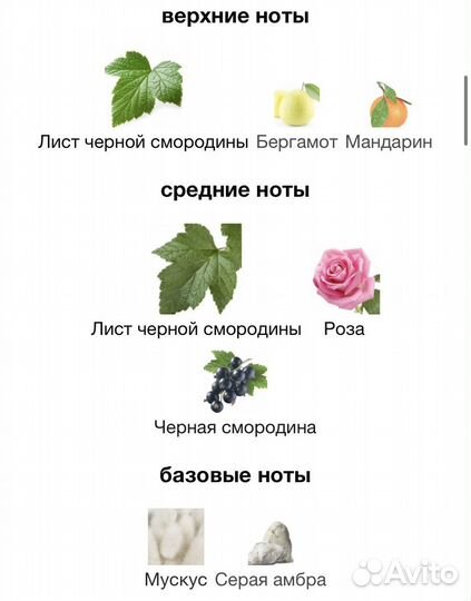 Женские духи/парфюм на распив 5мл/10мл Diptyque