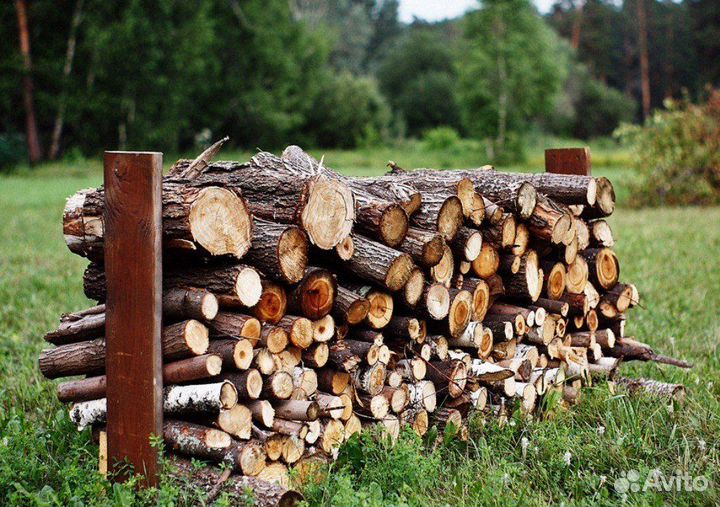Дрова эконом